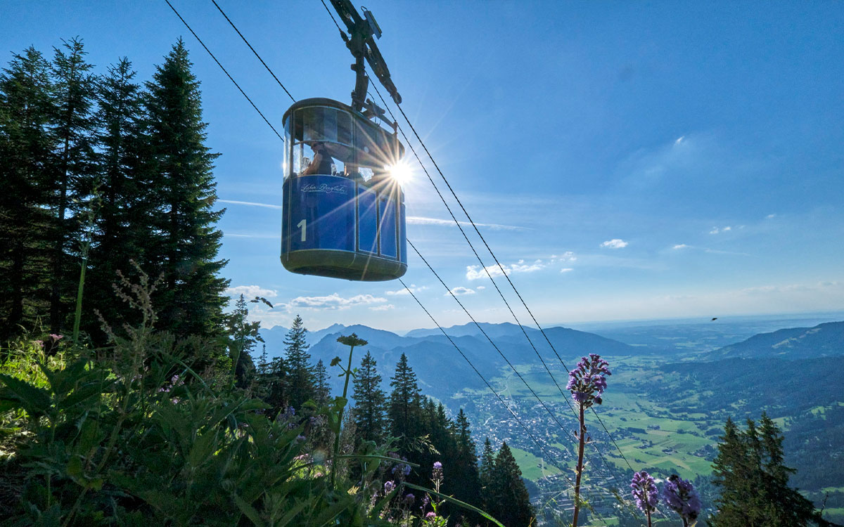 Laber Bergbahn - Prices