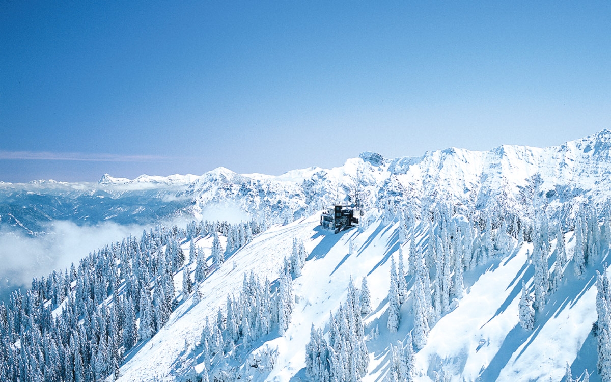 Laber Bergbahn - Sports and adventure mountain
