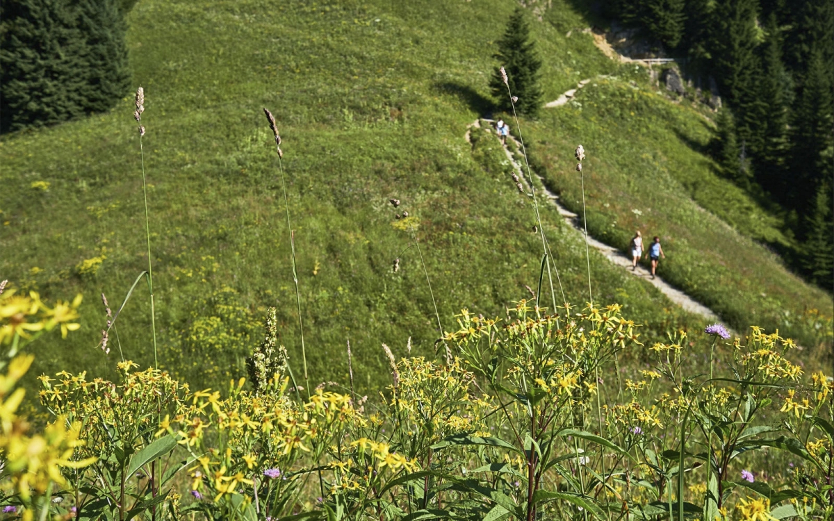 Wandern &amp; Touren am Laber in Oberammergau